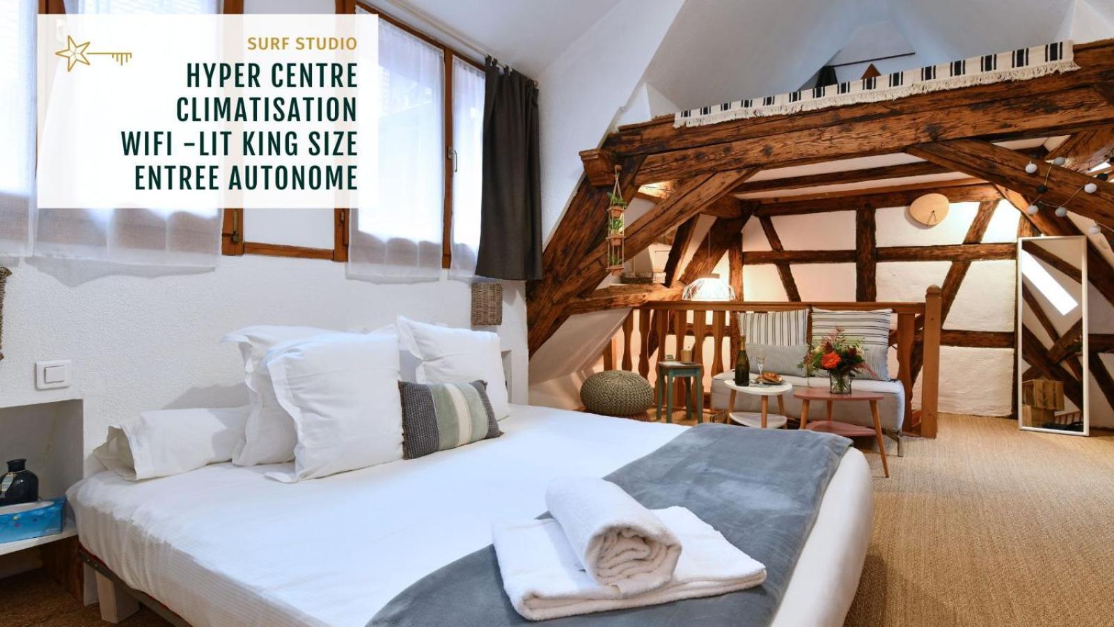 Gite See You Soon - Studio Surf Colmar Bagian luar foto